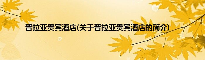 普拉亚贵宾酒店(关于普拉亚贵宾酒店的简介)