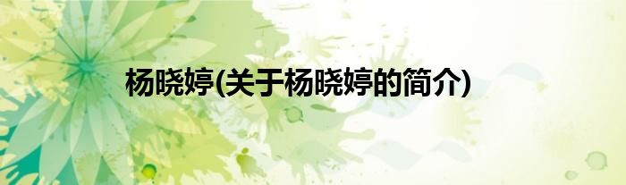 杨晓婷(关于杨晓婷的简介)