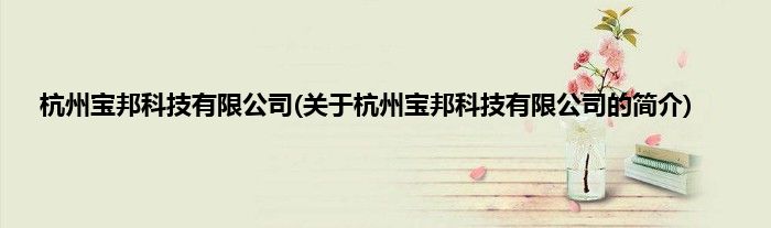 杭州宝邦科技有限公司(关于杭州宝邦科技有限公司的简介)