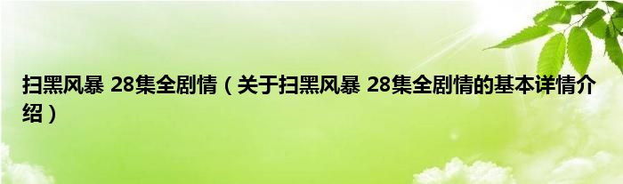 扫黑风暴 28集全剧情（关于扫黑风暴 28集全剧情的基本详情介绍）