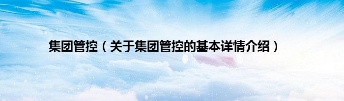 集团管控（关于集团管控的基本详情介绍）