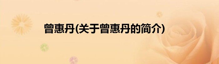 曾惠丹(关于曾惠丹的简介)