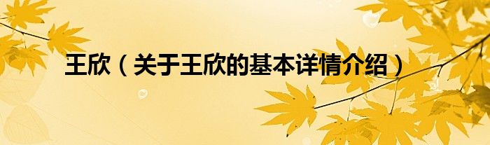 王欣（关于王欣的基本详情介绍）