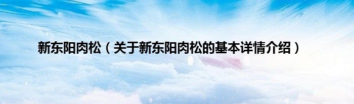 新东阳肉松（关于新东阳肉松的基本详情介绍）