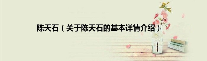 陈天石（关于陈天石的基本详情介绍）