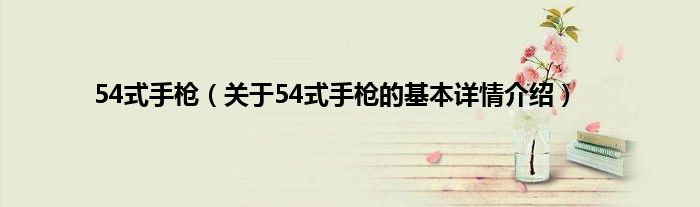 54式手枪（关于54式手枪的基本详情介绍）