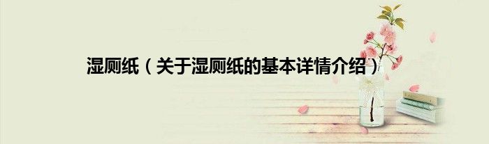 湿厕纸（关于湿厕纸的基本详情介绍）