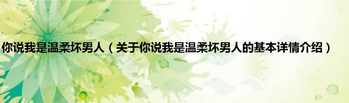 你说我是温柔坏男人（关于你说我是温柔坏男人的基本详情介绍）