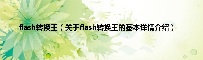 flash转换王（关于flash转换王的基本详情介绍）
