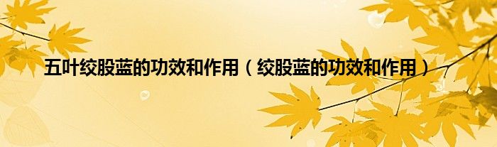 五叶绞股蓝的功效和作用（绞股蓝的功效和作用）
