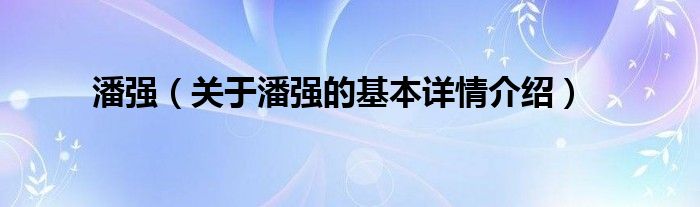 潘强（关于潘强的基本详情介绍）