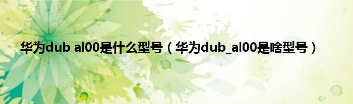 华为dub al00是什么型号（华为dub_al00是啥型号）
