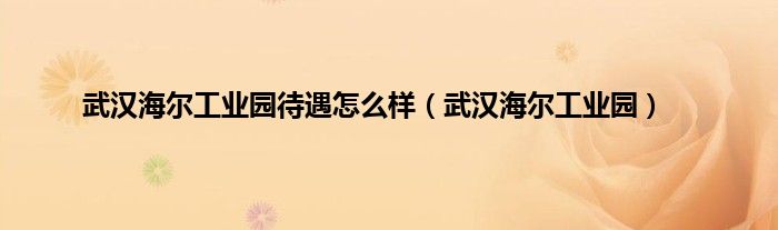 武汉海尔工业园待遇怎么样（武汉海尔工业园）