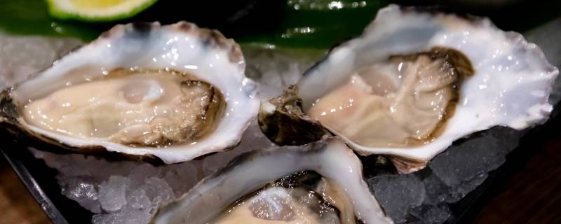 壳类水产有哪些