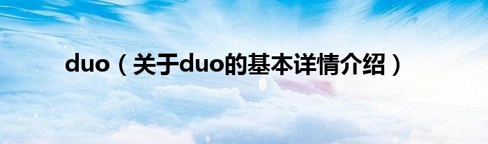 duo（关于duo的基本详情介绍）