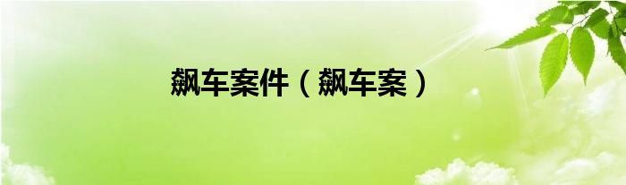 飙车案件（飙车案）