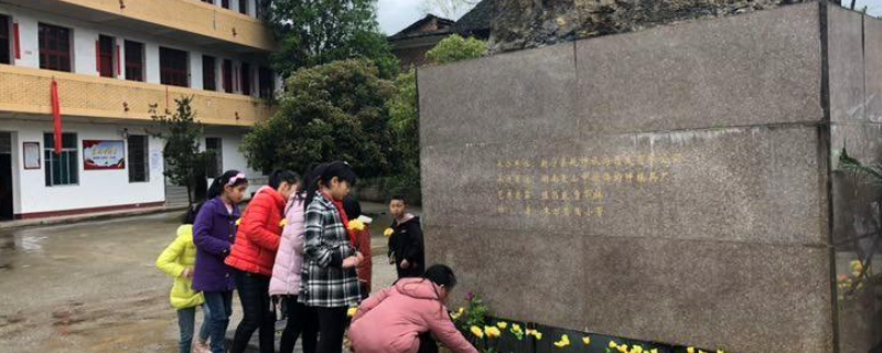 新宁县金石镇联校地址