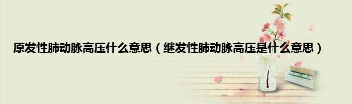 原发性肺动脉高压什么意思（继发性肺动脉高压是什么意思）