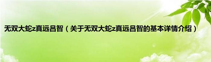 无双大蛇z真远吕智（关于无双大蛇z真远吕智的基本详情介绍）