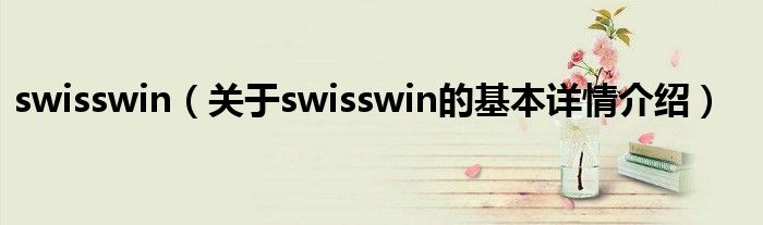 swisswin（关于swisswin的基本详情介绍）