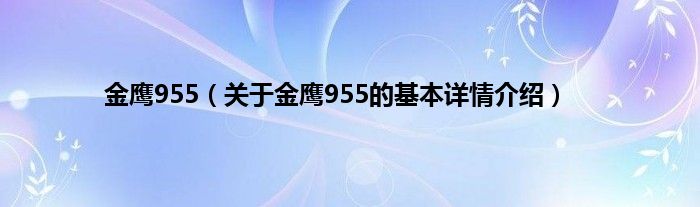 金鹰955（关于金鹰955的基本详情介绍）