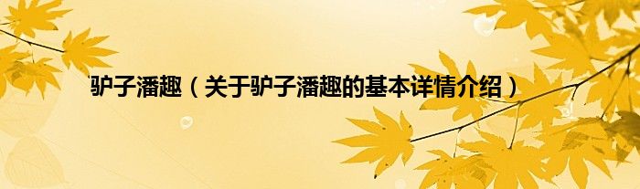 驴子潘趣（关于驴子潘趣的基本详情介绍）