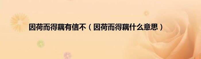 因荷而得藕有信不（因荷而得藕什么意思）