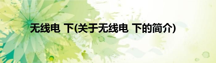 无线电 下(关于无线电 下的简介)