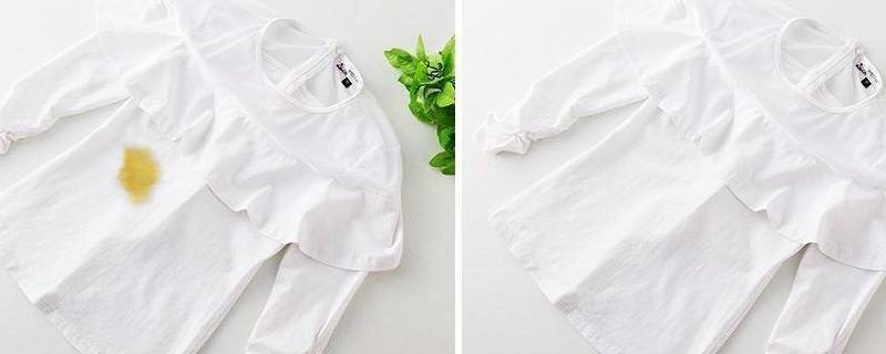 衣服上咖啡污渍怎么洗