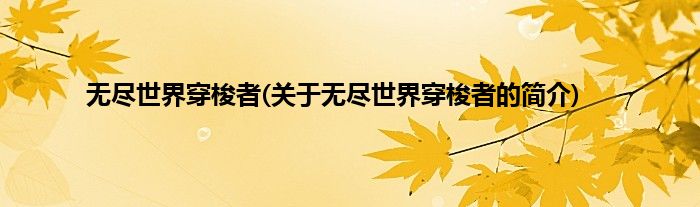 无尽世界穿梭者(关于无尽世界穿梭者的简介)