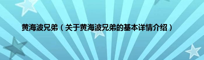 黄海波兄弟（关于黄海波兄弟的基本详情介绍）