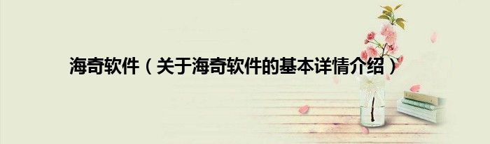 海奇软件（关于海奇软件的基本详情介绍）