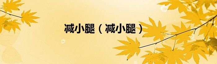 减小腿（减小腿）
