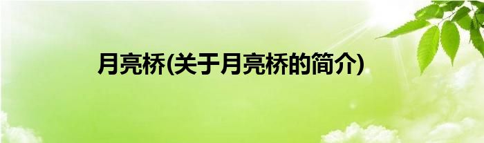 月亮桥(关于月亮桥的简介)