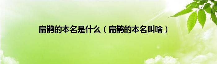 扁鹊的本名是什么（扁鹊的本名叫啥）