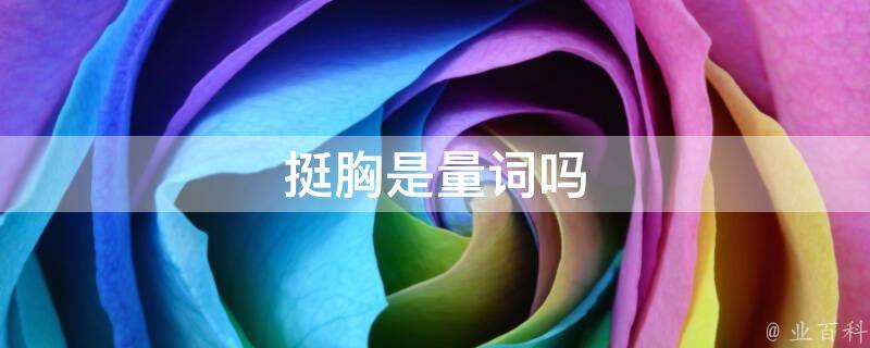 挺胸是量词吗