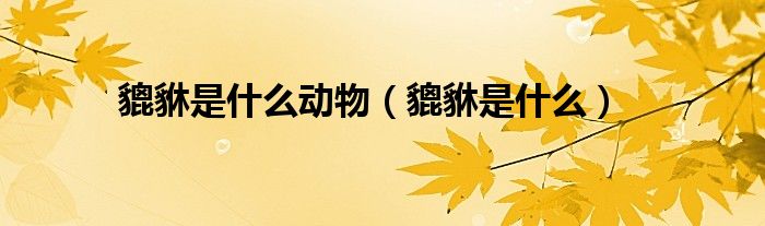 貔貅是什么动物（貔貅是什么）