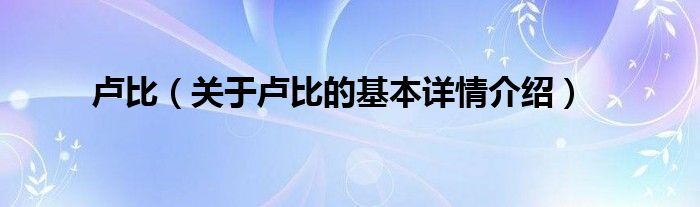 卢比（关于卢比的基本详情介绍）